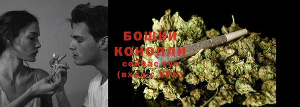 спайс Пересвет
