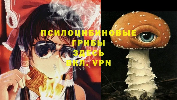 не бодяженный Алзамай