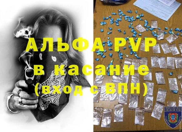 гидра Пестово