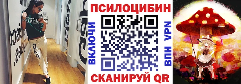 Псилоцибиновые грибы Psilocybe  продажа наркотиков  Родники 